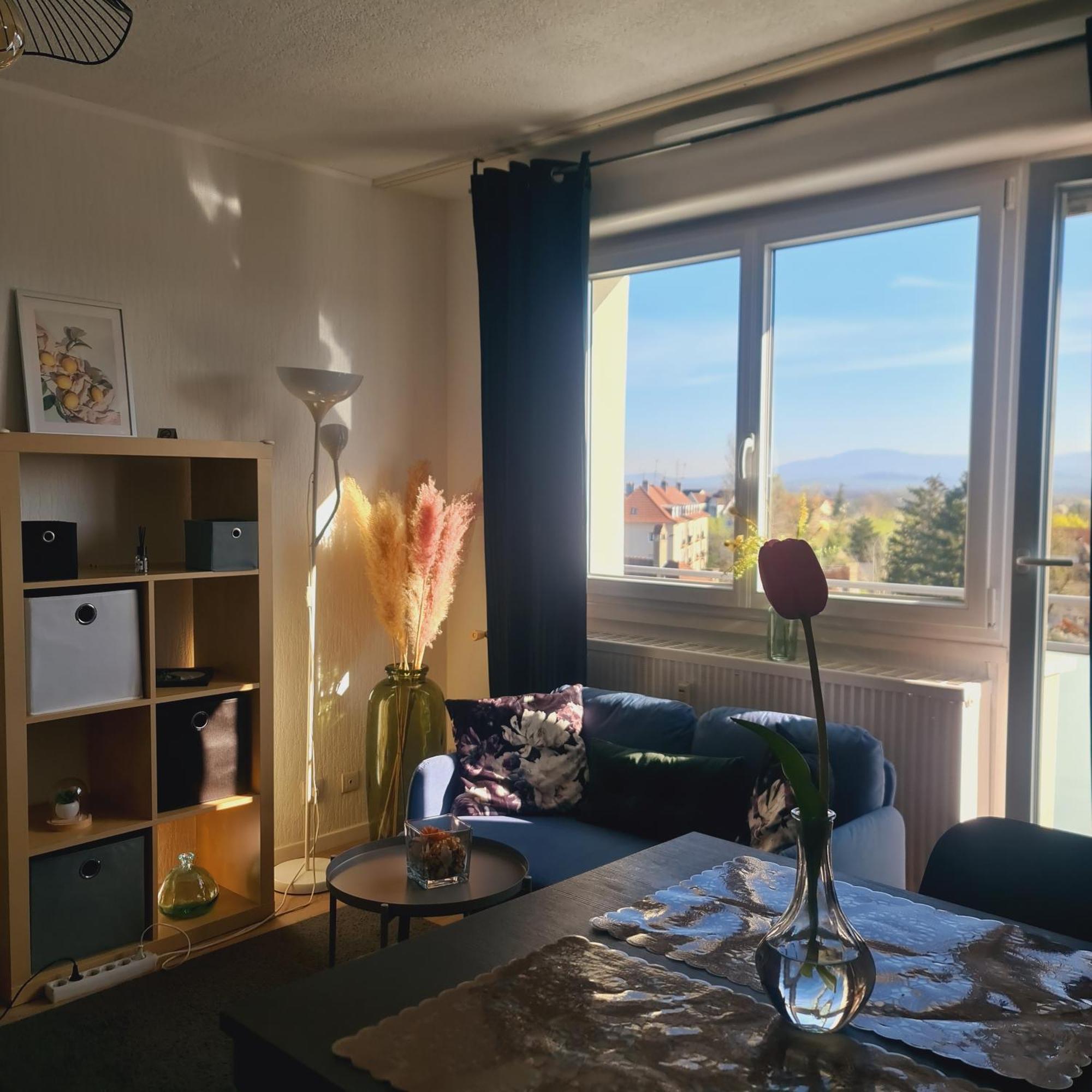 סאן לואיס Studio Kaan Avec Terasse 5Mn Basel Airport מראה חיצוני תמונה
